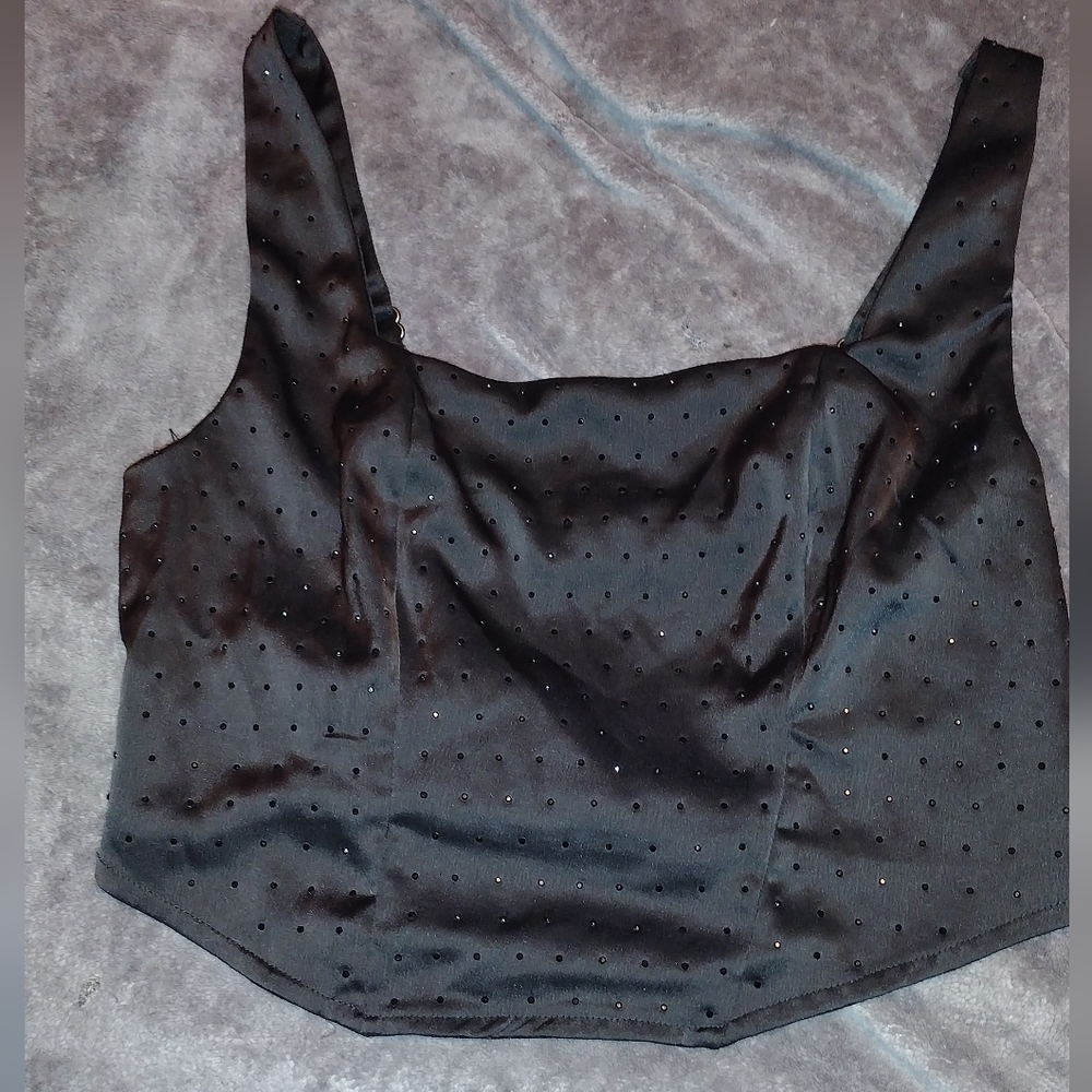 Wild Fable Sparkly Corset Top (size Small)